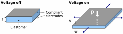 Working principle of dielectric elastomer actuators